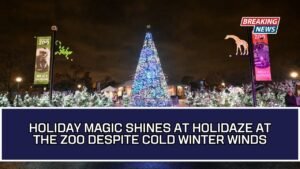 Holiday Magic Shines At Holidaze At The Zoo Despite Cold Winter Winds