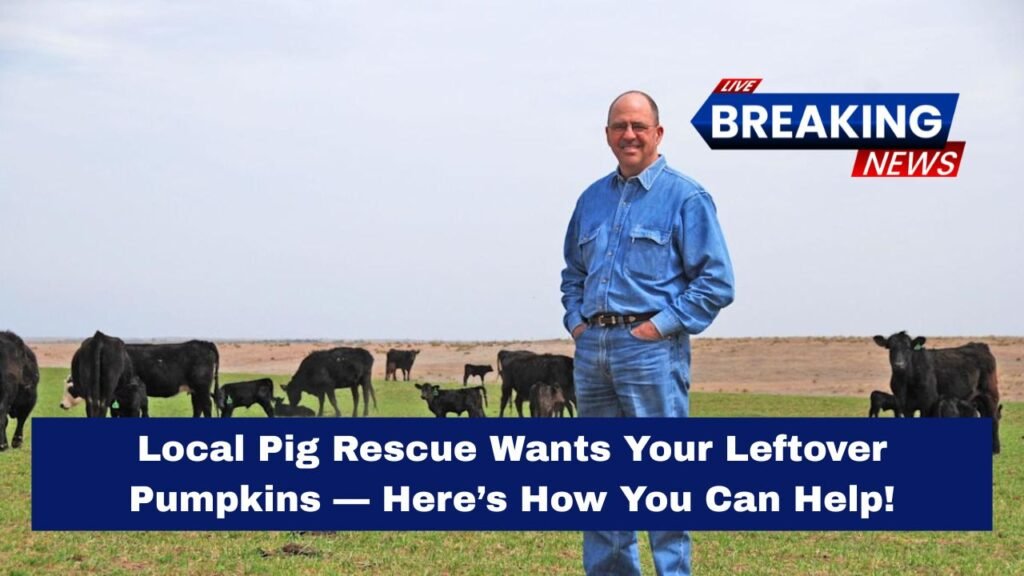 Kansas Ranchers Finally Reveal Why Beef Prices Soared — And Why Politicians Still Aren’t Helping