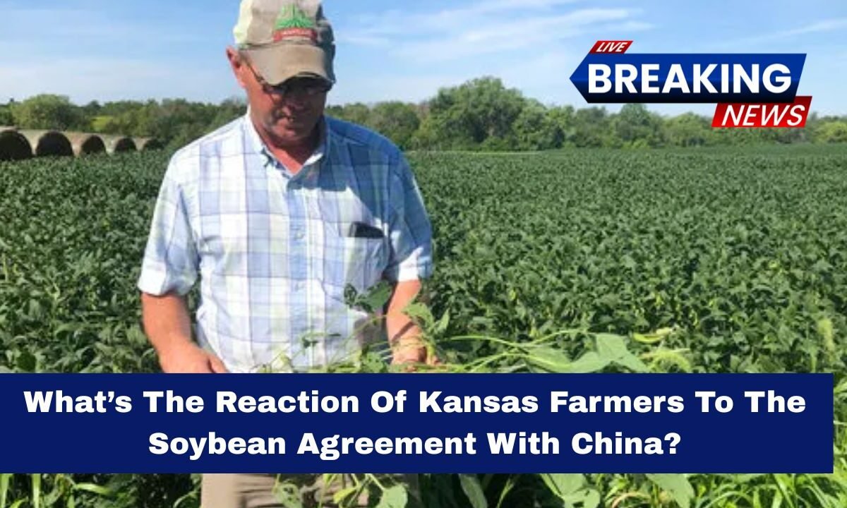 What’s The Reaction Of Kansas Farmers To The Soybean Agreement With China?