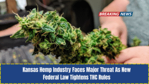 Kansas Hemp Industry Faces Major Threat As New Federal Law Tightens THC Rules