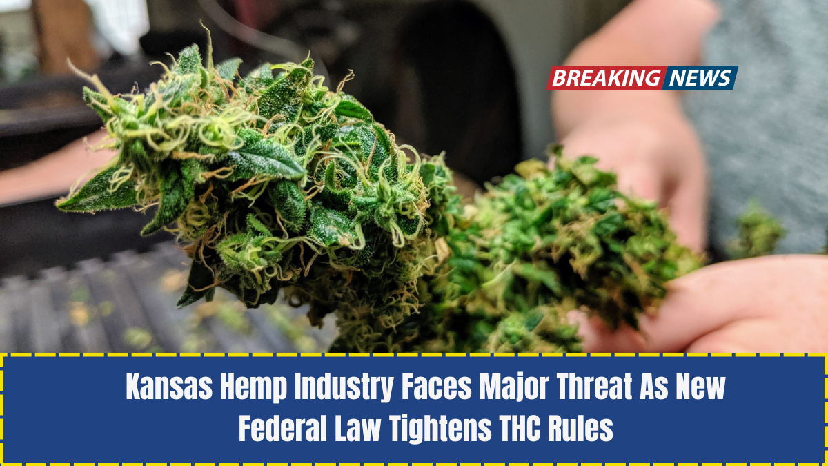 Kansas Hemp Industry Faces Major Threat As New Federal Law Tightens THC Rules