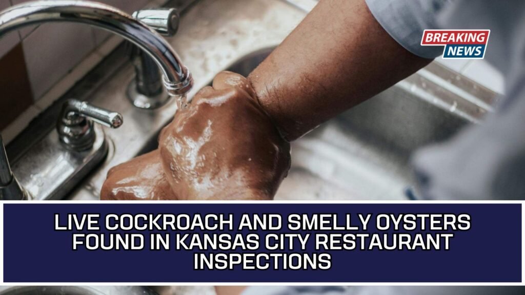 Live Cockroach And Smelly Oysters Found In Kansas City Restaurant Inspections