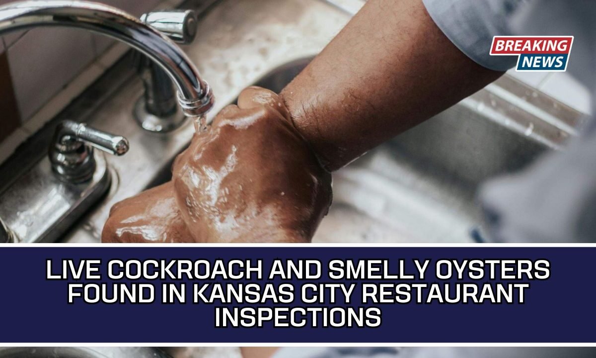 Live Cockroach And Smelly Oysters Found In Kansas City Restaurant Inspections
