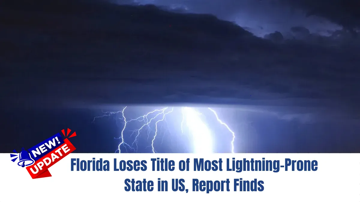 Florida Loses Title of Most Lightning-Prone State in US, Report Finds
