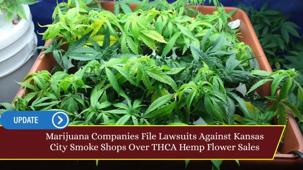 Marijuana Companies File Lawsuits Against Kansas City Smoke Shops Over THCA Hemp Flower Sales