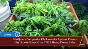 Marijuana Companies File Lawsuits Against Kansas City Smoke Shops Over THCA Hemp Flower Sales