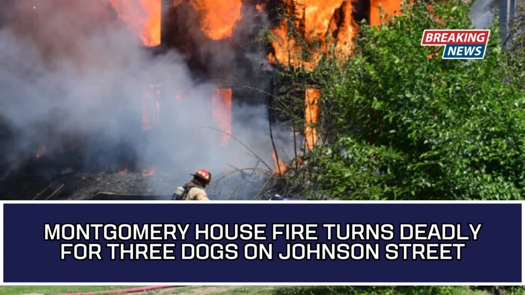 Montgomery House Fire Turns Deadly For Three Dogs On Johnson Street