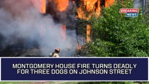 Montgomery House Fire Turns Deadly For Three Dogs On Johnson Street