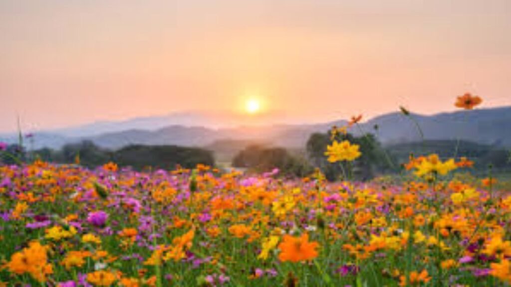 Make the most of this beautiful spring day in Kansas