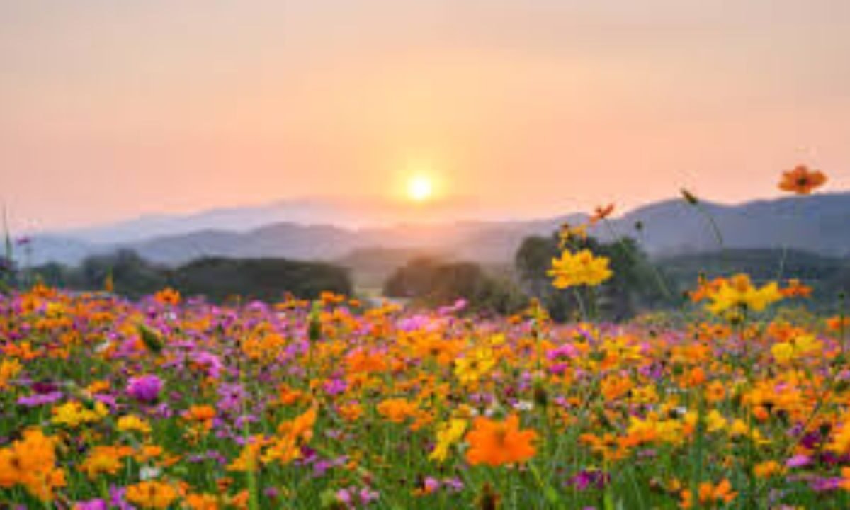 Make the most of this beautiful spring day in Kansas
