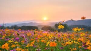 Make the most of this beautiful spring day in Kansas