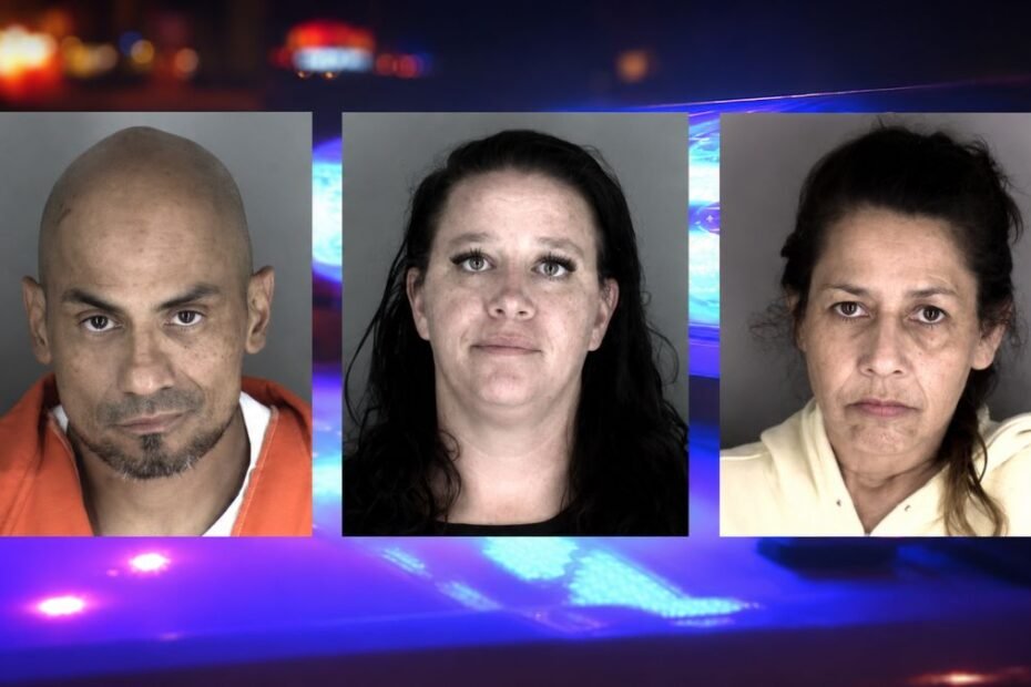 Three Suspects Jailed After Robbery, Burglary And Battery Investigation