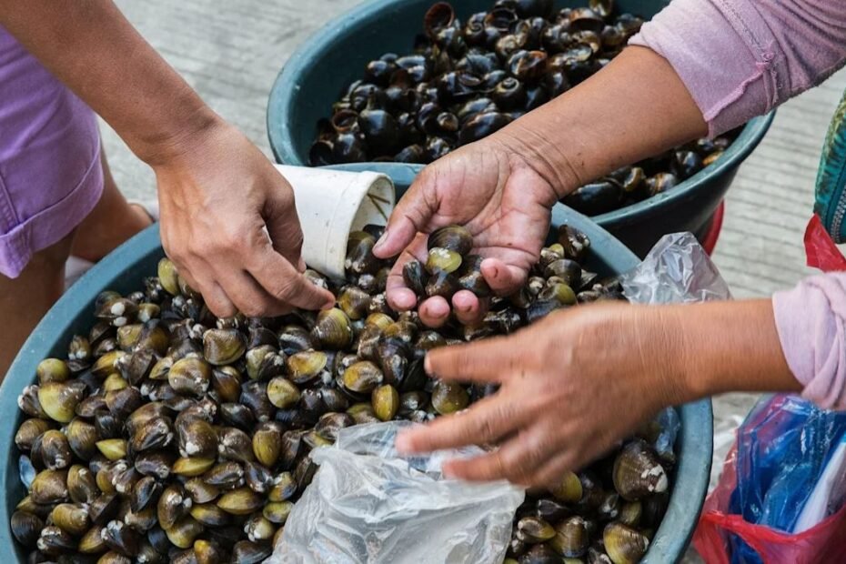 Popular $7 Billion Tiny Seafood Delicacy Is Rapidly Becoming a New Invasive Species Along the Coast