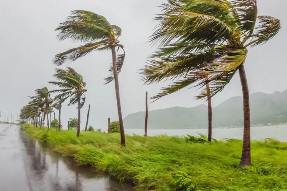 Tropical Depression Two Forms, Could Strengthen Into Tropical Storm Bertha as Heavy Rain Targets the Southeast